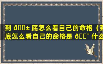 到 🐱 底怎么看自己的命格（到底怎么看自己的命格是 🐯 什么）